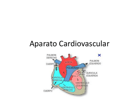 20.-Farmacologia-cardiovascular.pdf