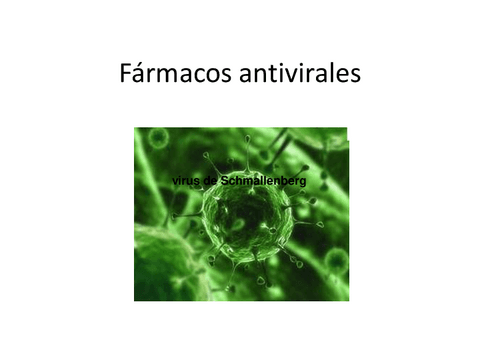 13.-Antivirales.pdf