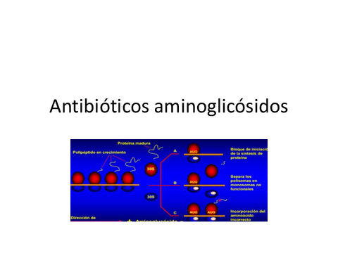 10.-Antibioticos-aminoglicosidos.pdf