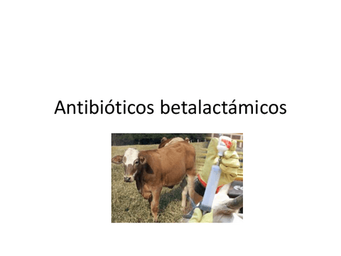 09.-Antibioticos-betalactamicos.pdf