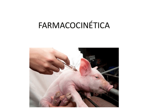 05.-Farmacocinetica.pdf