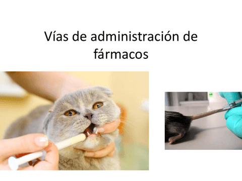 03.-Vias-de-administracion.pdf