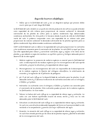 Examen-2.pdf