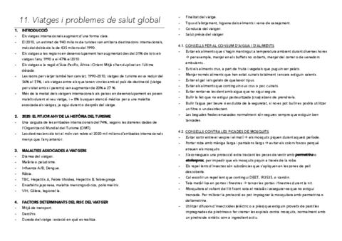 11-Viajes-y-problemas-de-salud-global.pdf