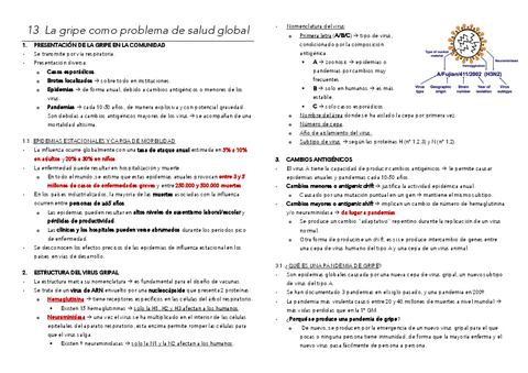 13-Grip-i-pandemies.pdf