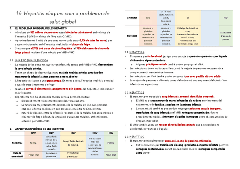 16-Hepatitis.pdf