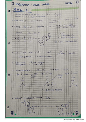 Resumenes-y-ejercicios.pdf