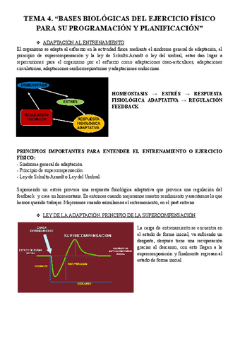 TEMA-4-AFS.pdf