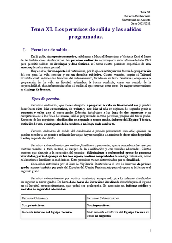 tema-xi.-derecho-penitenciario.pdf