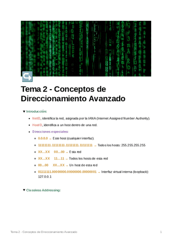 T2_ConceptosDireccionamientoAvanzado.pdf