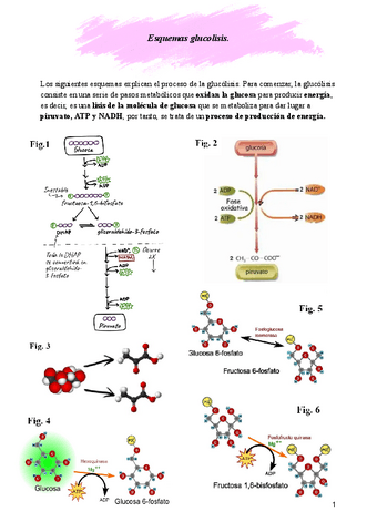 Tarea-glucosa.pdf