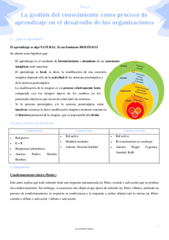 TEMA-3-Que-es-aprender.pdf