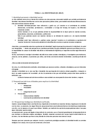 Tema-1-social-II.pdf