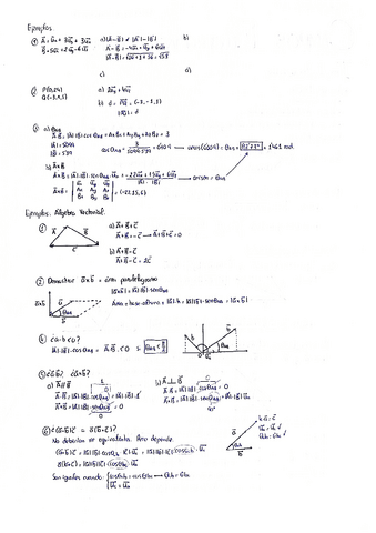 CAMPOS: T.4, T.5 y T.6 (Ejercicios).pdf