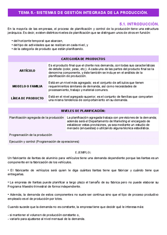 TEMA-5-COMPLETO.pdf