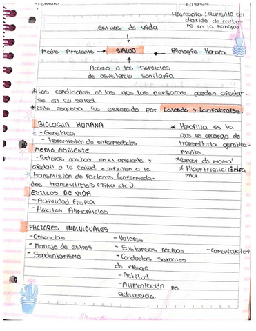 Factores-de-Riesgo.pdf