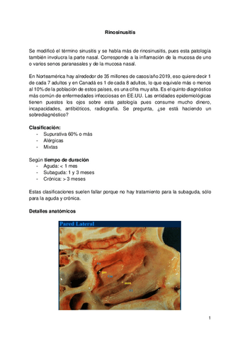 Clase-Rinosinusitis.pdf