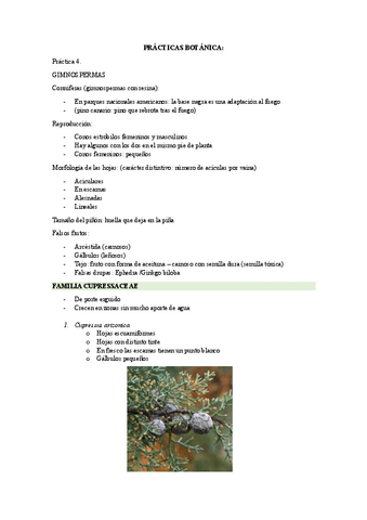 PRACTICAS-BOTANICA2024.pdf