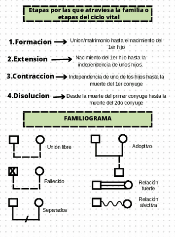 Etapas-del-ciclo-vital-y-familiograma.pdf