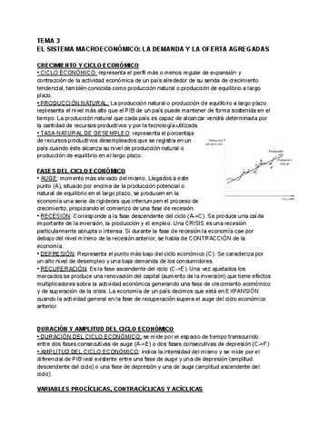 Macroeconomia-tema-3.pdf