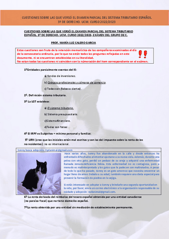 CUESTIONES SOBRE EL EXAMEN PARCIAL-LUZ-CALERO.-UCM.pdf