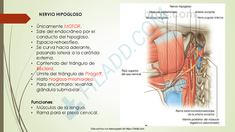 FARINGE2-1merged-2.pdf