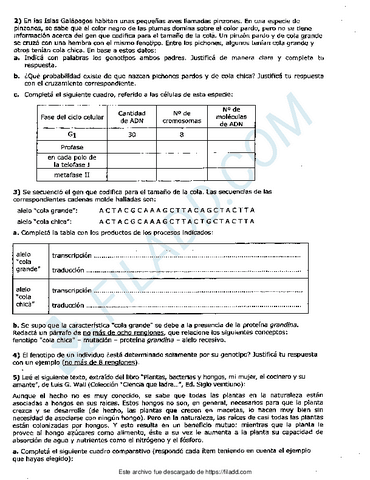 FARINGE2-1merged-6.pdf