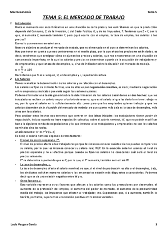 Tema-5-Macro.pdf