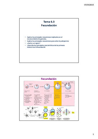 285028Lec-6.3-Fecundacion-2x.pdf