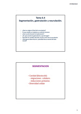 285029Lec-6.4-Segmentacion-gastrulacion-y-neurulacion-2x.pdf