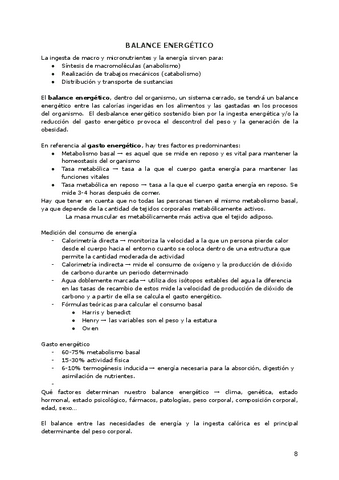 BALANCE-ENERGETICO.pdf