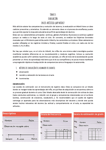 TEMA-15-PLASTICA.pdf