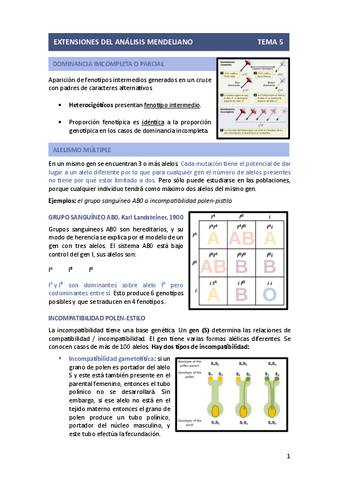T5-EXTENSIONES-MENDEL.pdf