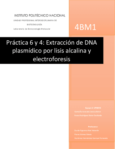 Practicas-6-y-4-lisis-alcalina-y-electroforesis-compl.pdf