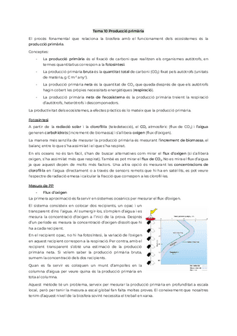 Tema10CCB.pdf