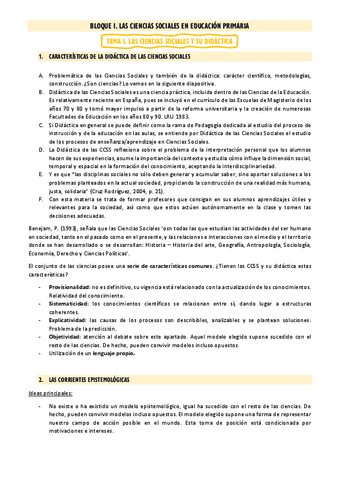 APUNTES.-Didactica-de-las-Ciencias-Sociales.pdf