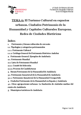 T6-Patrimonio.pdf