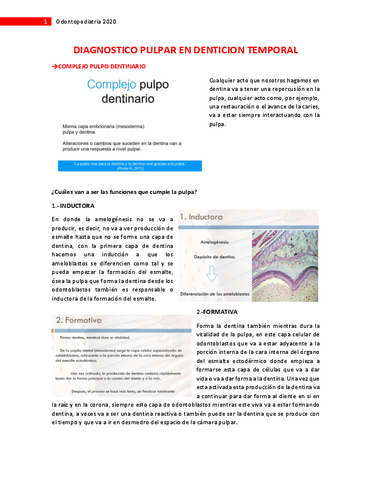 S7.-diagnostico-pulpar-en-denticion-temporal.pdf