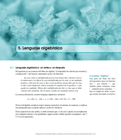 08-Lenguaje-Algebraico.pdf