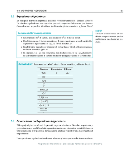 09-Expreciones-Algebraicas.pdf