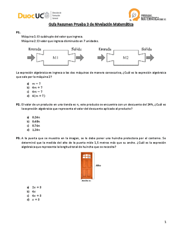 12-GUIARESUMENP3.pdf