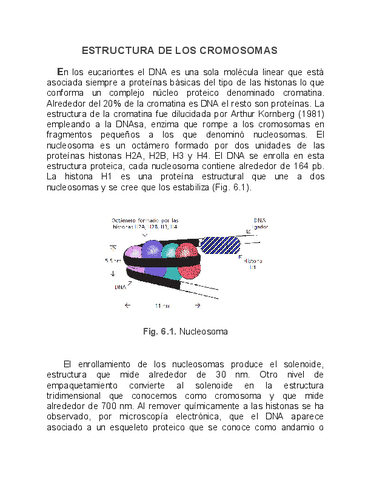 Genetica-Humana-IX.pdf