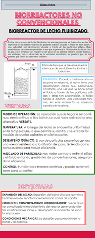 INFOGRAFIA-BIORREACTORES-NO-CONVENCIONALES-pdf.pdf