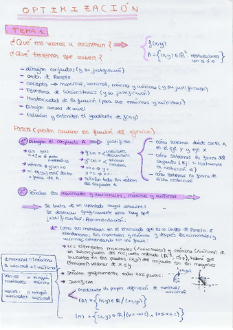 Resumen-temas-123y4-opti.pdf