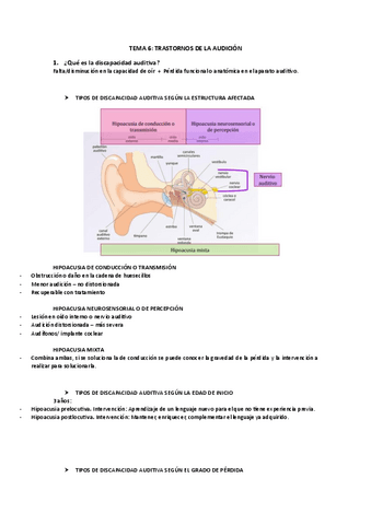 TEMA-6.pdf