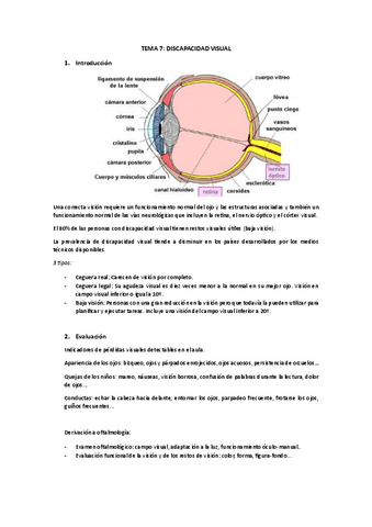 TEMA-7.pdf