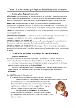 Tema 12. Patología quirúrgica del riñón y la vía excretora.pdf