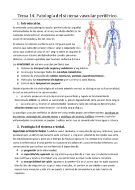 Tema 14. Sistema vascular periférico.pdf
