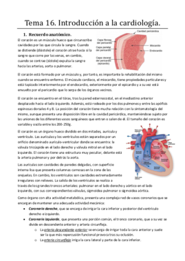 Tema 16. Introducción a la cardiología.pdf