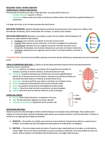 RESUMEN-TEMA-3-INTRO-ODONTO.pdf